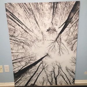 Art canvas